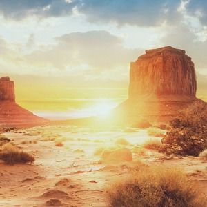 Meet your Posher, Paul